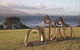 Sculpture Bermagui - thumb 0