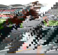 Stadium Stomp Adelaide Oval - Postponed - Restaurant Canberra