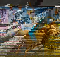 Top Gun and Young Gun Series Round 9 - Restaurant Canberra