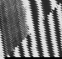 WA Now  Tom Mller Monolith Scores - Restaurant Canberra