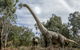 Zoorassic At Werribee Open Range Zoo. - thumb 2