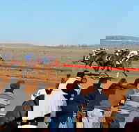 2020 Quorn Cup - Restaurant Canberra