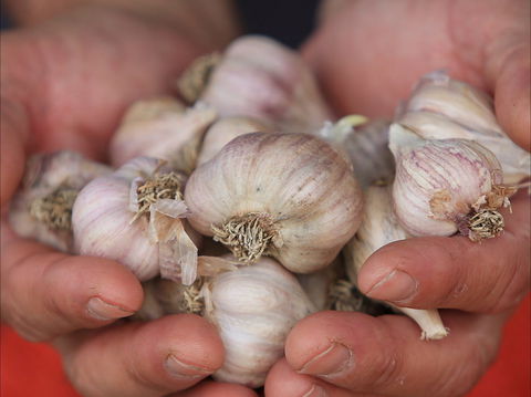Armidale Farmers' Market - Restaurant Canberra 0