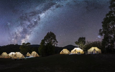 A Wild Night Out - Spring - Restaurant Canberra 6