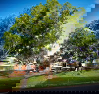 Big Bat Wildlife and Eco Festival - Restaurant Canberra