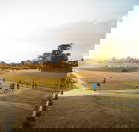 Campbelltown ParkRun - Restaurant Canberra