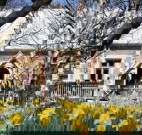 Daffodils at Rydal - Restaurant Canberra