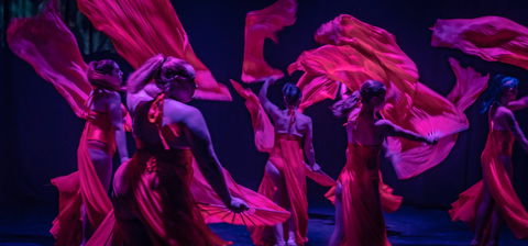 Darwin Fringe Festival - Restaurant Canberra 1