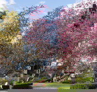 Leura Gardens Festival - Cancelled - Restaurant Canberra