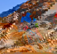 The Redback - Restaurant Canberra