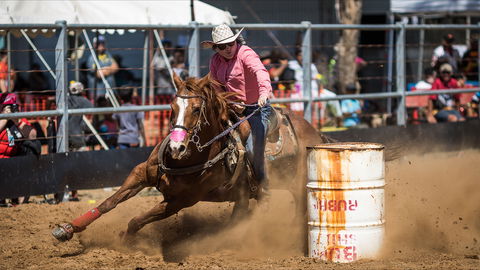 The Gulf Country Frontier Days Festival - Restaurant Canberra 2