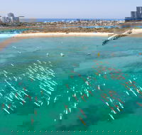 The Old Woman Ocean Paddle - Restaurant Canberra