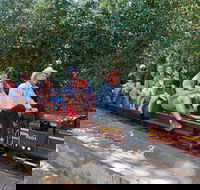Twilight Run   Willans Hill Miniature Railway - Restaurant Canberra