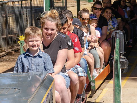Willans Hill Miniature Railway Rides: Open Days - Restaurant Canberra 0