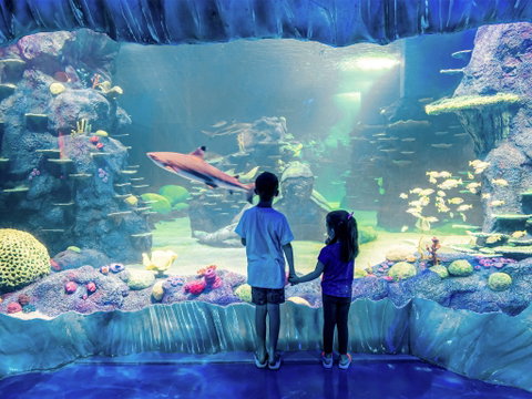 Sydney's Aquarium - Restaurant Canberra 1