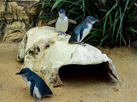 Sydney's Aquarium - Restaurant Canberra 2