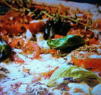 Alfio's Pizzeria - Restaurant Canberra