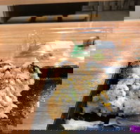 Sushi Sushi - Restaurant Canberra