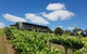 Traralgon Vineyard - thumb 0