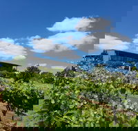Traralgon Vineyard - Restaurant Canberra