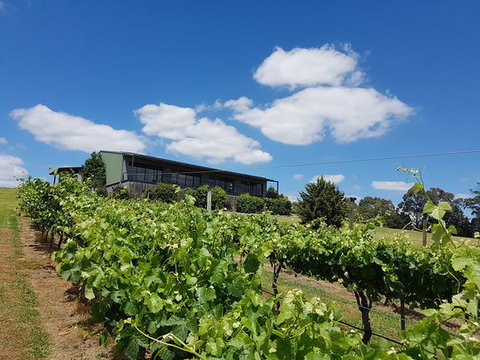 Traralgon Vineyard - Restaurant Canberra 0