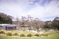 Green Olive at Red Hill