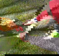 Glen Logan Restaurant - Restaurant Canberra