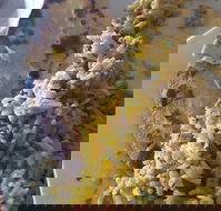 Horsham Masala Indian Restaurant - Restaurant Canberra