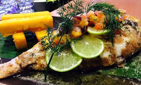 Wild Canary - Restaurant Canberra 5