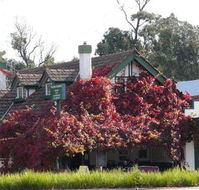 Fetching Treasures - Restaurant Canberra