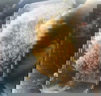 Noodle Dynasty - Restaurant Canberra