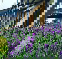 Dunkeld Old Bakery - Restaurant Canberra