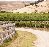 McIvor Estate Cellar Door - Restaurant Canberra