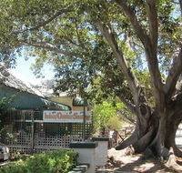 The Season Tree - Restaurant Canberra