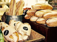 The Shed Phillip Island