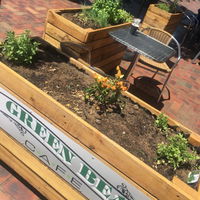 Green Bean Cafe