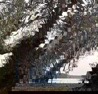 The Forest Door - Restaurant Canberra