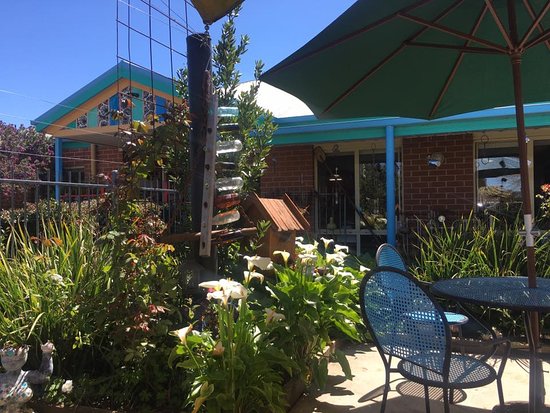 The Joy Bus Barnawartha