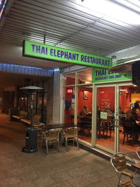 Thai Elephant