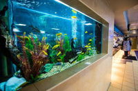 Swansea Workers Club