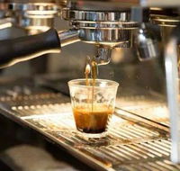 Black Bear Cafe - Restaurant Canberra