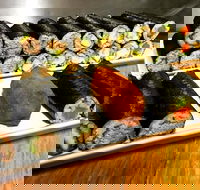 Freewave Sushi  Burgers - Restaurant Canberra