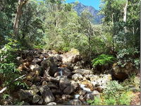 Star Chinese Restaurant