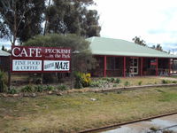 Cafe Peckish