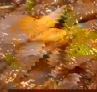 Golden Inn Restaurant - Restaurant Canberra