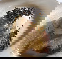 The Magpie Cafe - Restaurant Canberra