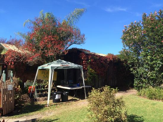 Bilpin NSW Restaurant Canberra