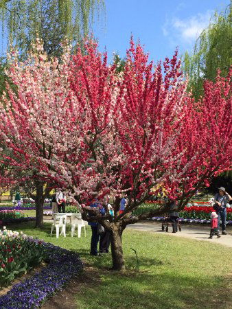 Ngunnawal ACT Restaurant Canberra