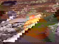 Village Bakehouse Orange