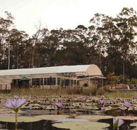 Abundance Cafe and Garden Centre - Restaurant Canberra